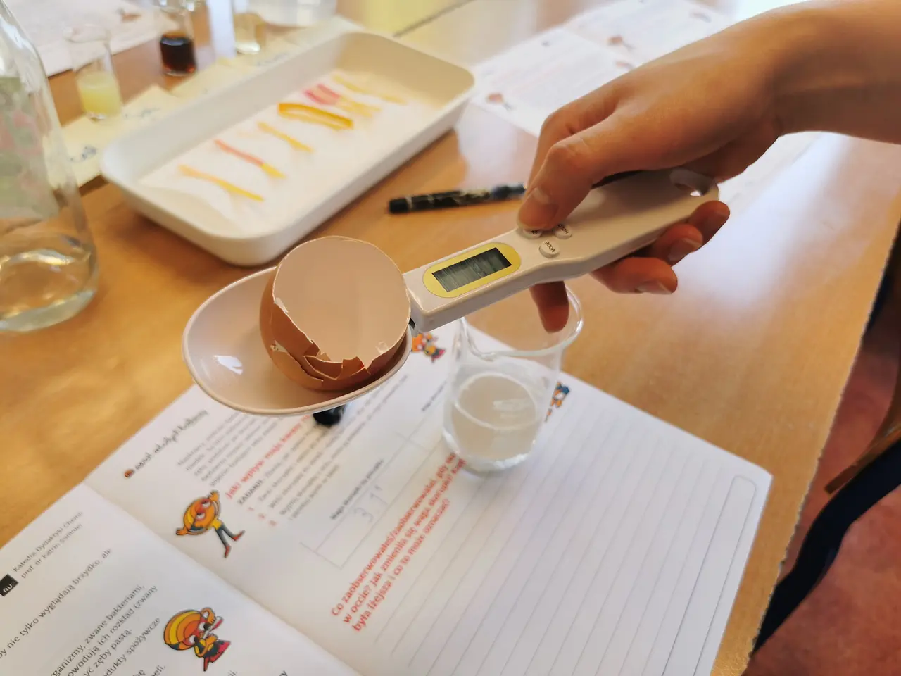 Henkel Polska ponownie zawitał z programem Świat Młodych Badaczy do szkół w Raciborzu i okolicznych miejscowościach