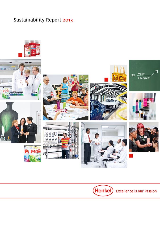 Cover Sustainability Report 2013