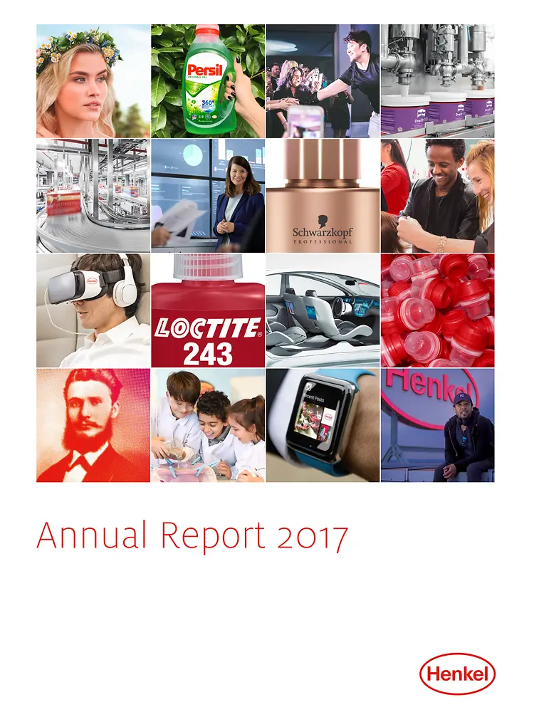 Raport Roczny 2017 (Cover)
