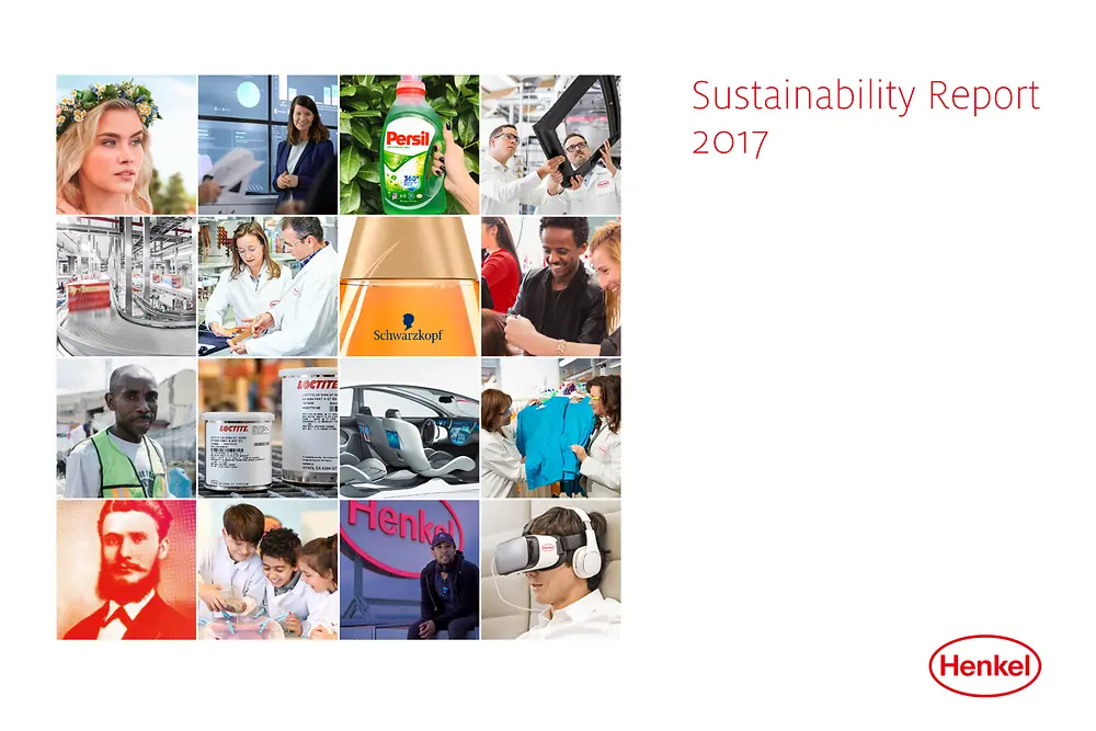 Raport Zrównoważonego Rozwoju 2017 (Cover)