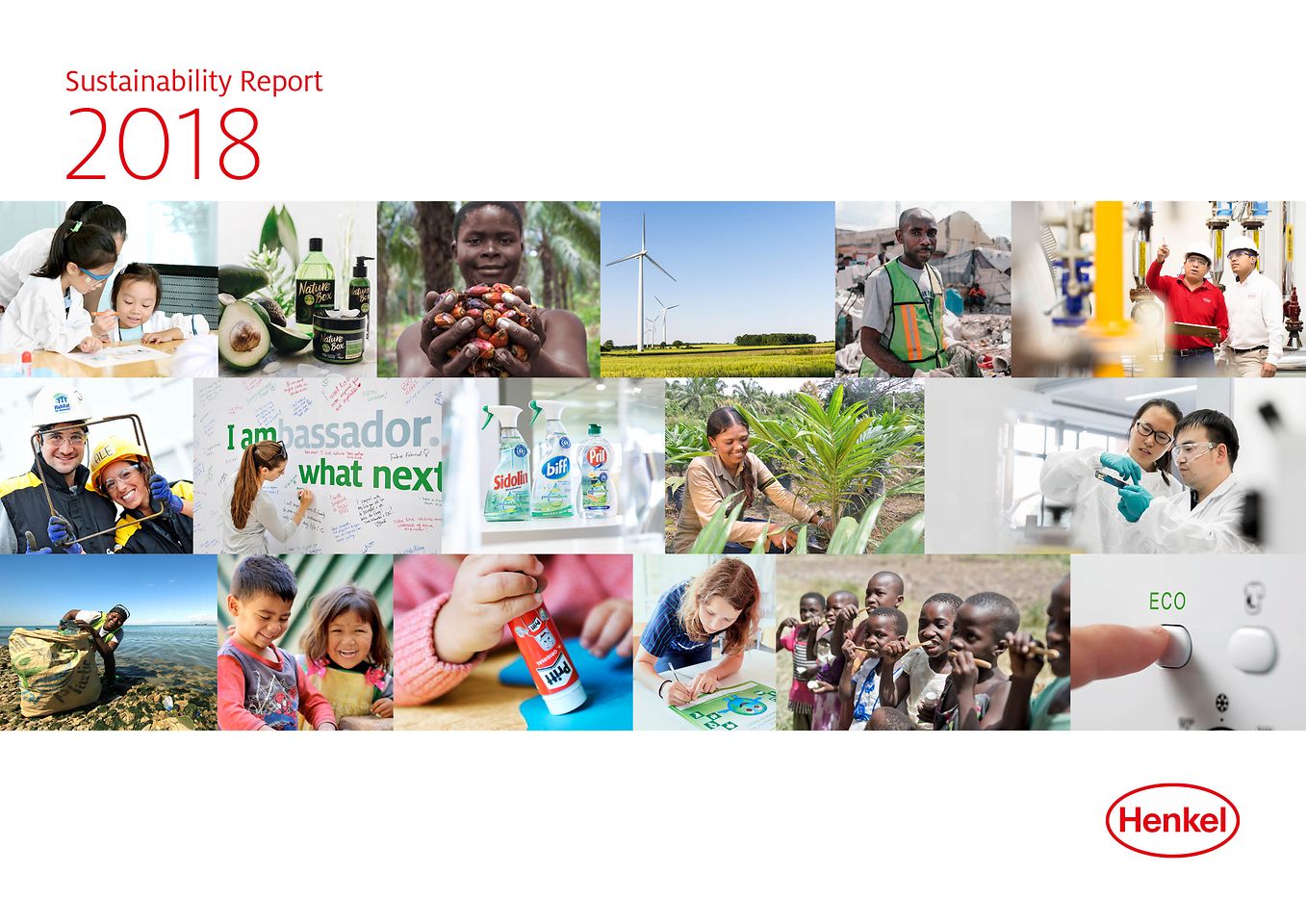 Raport Zrównoważonego Rozwoju 2018 (Cover)